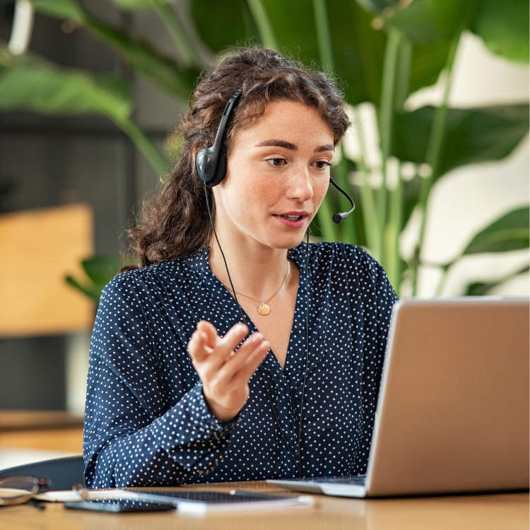 Voice and video citizen assistance